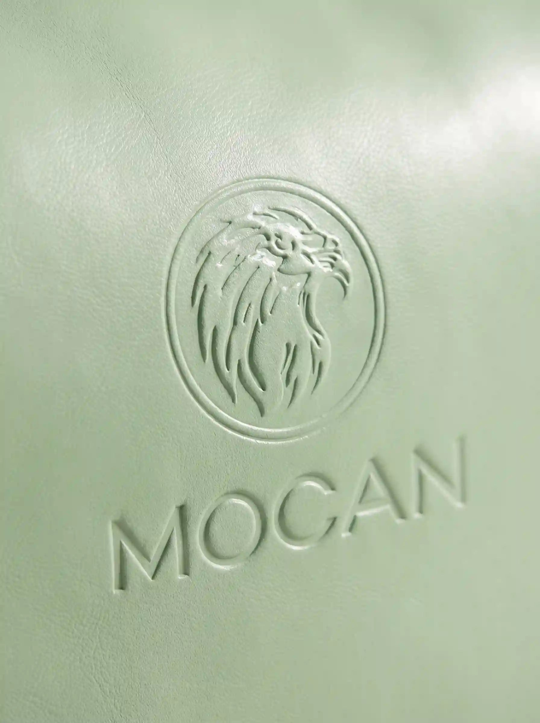 MOCAN mint green travel pouch